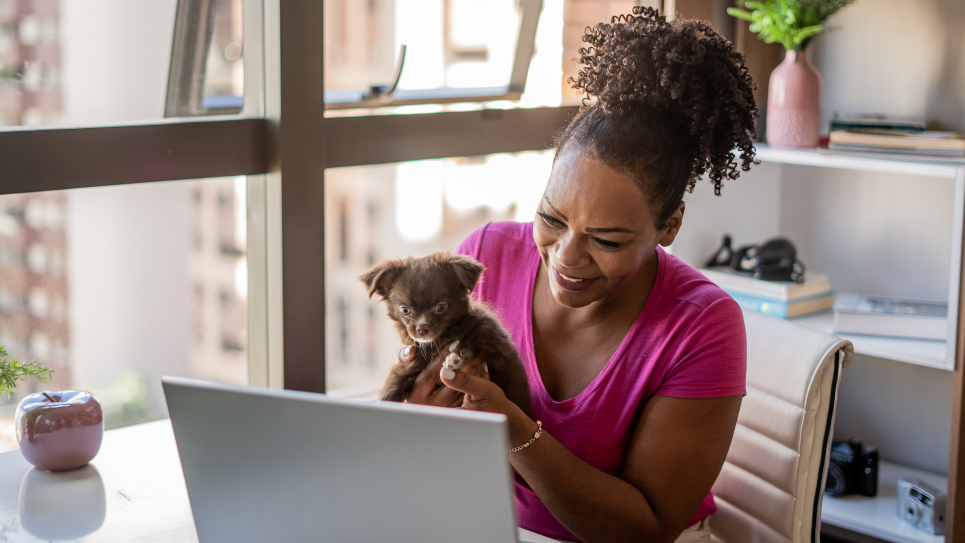 Dr. AuAu - Veterinário Digital