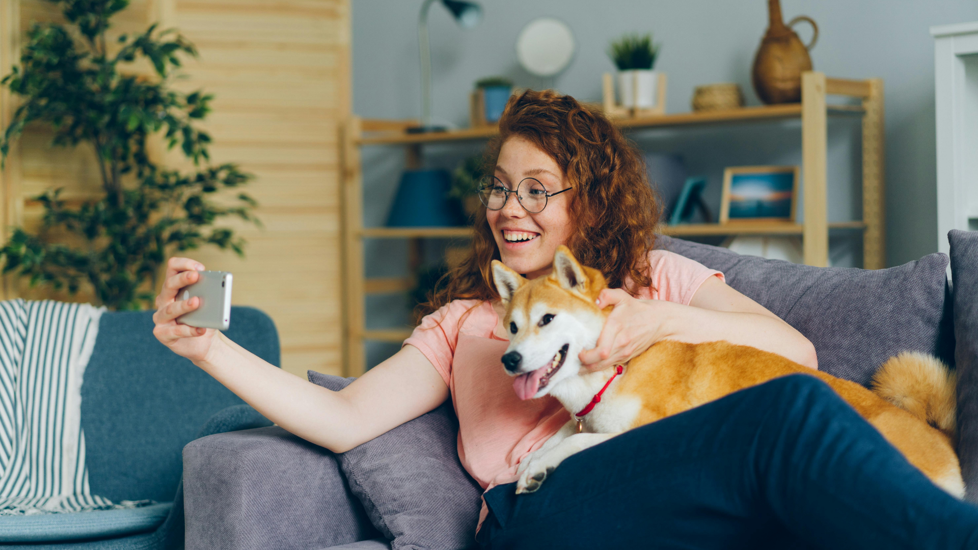 Dr. AuAu - Veterinário Digital