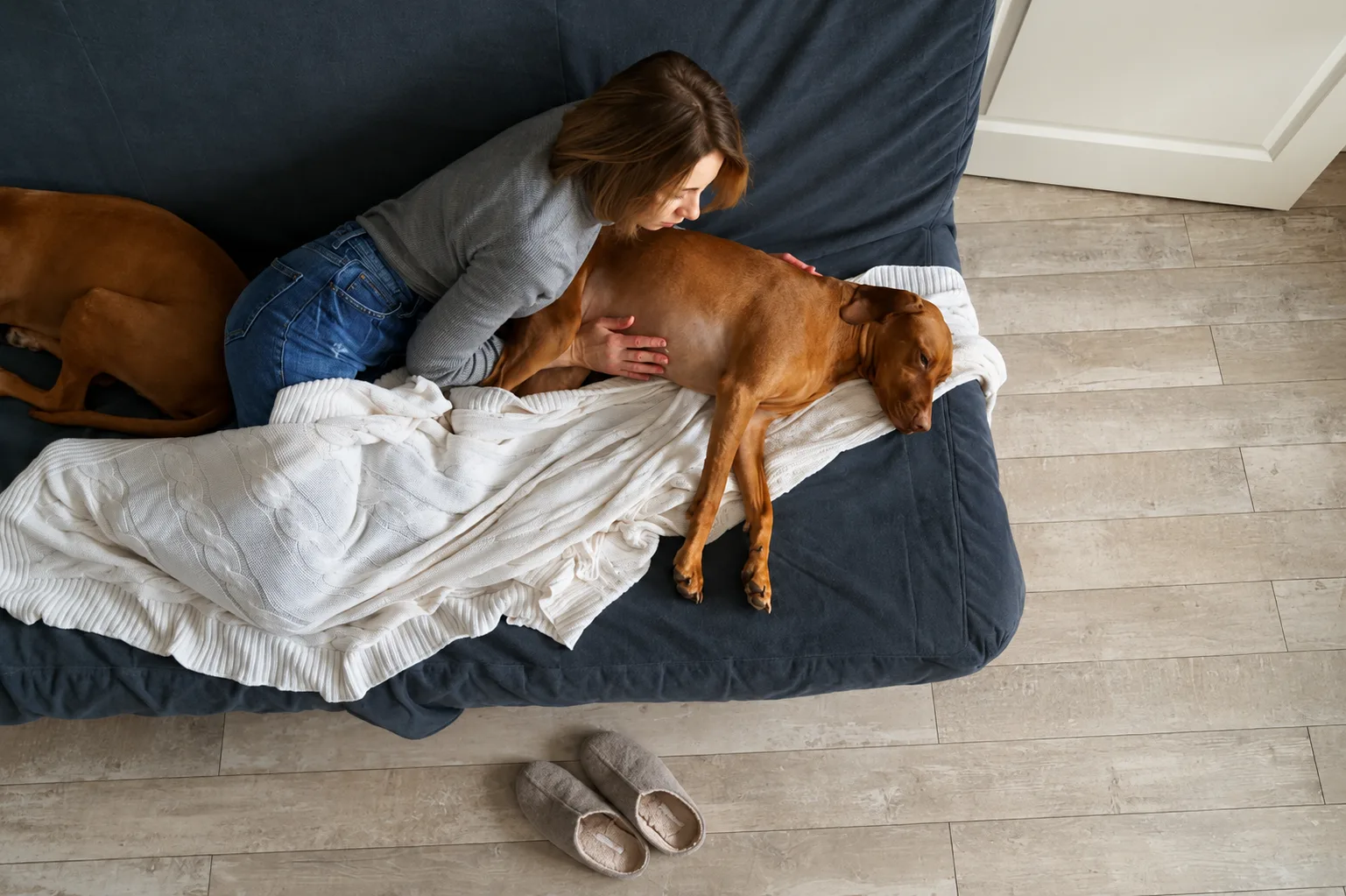 Tutora cuidando de cachorro com diarreia no sofá de casa