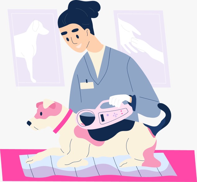 Ilustração de avaliação dermatológica
