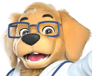Dr. AuAu
