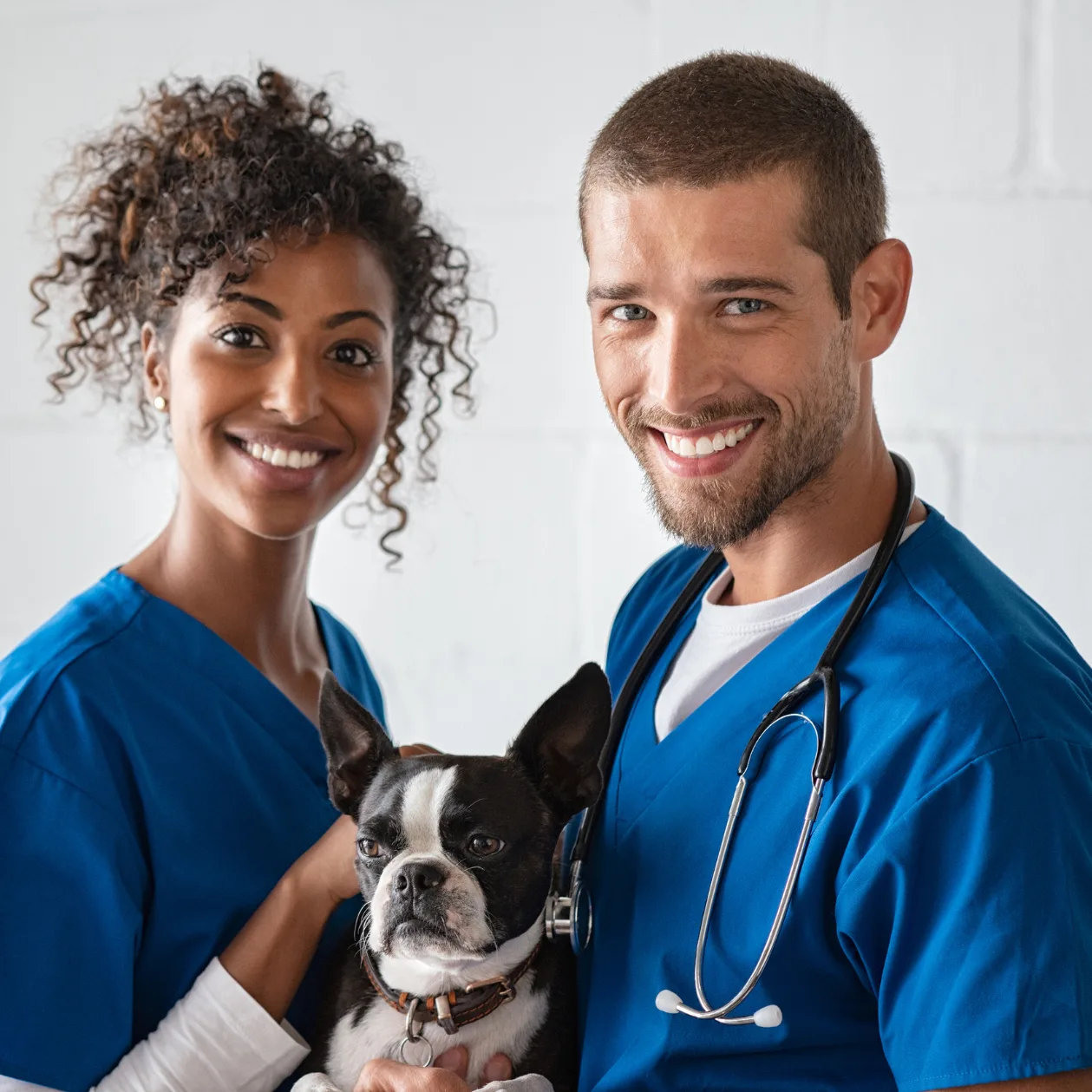 Veterinários parceiros Dr. AuAu